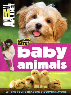 cover image of Baby Animals